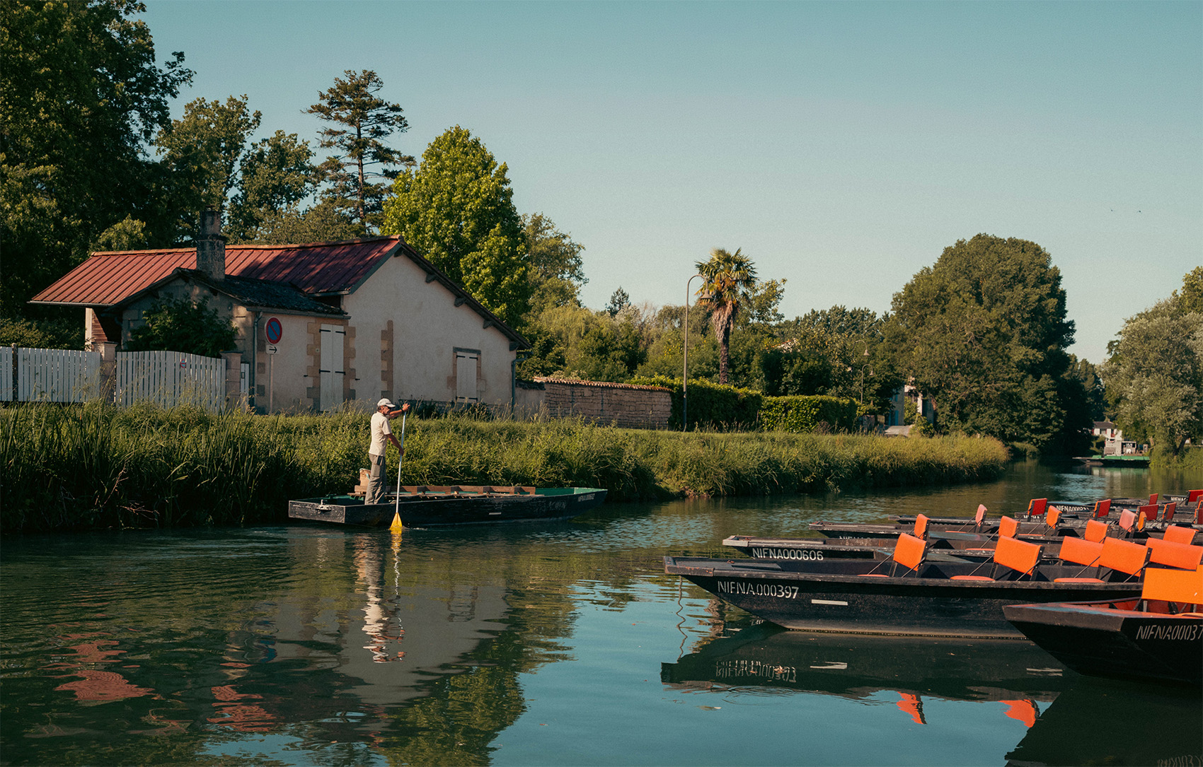 bord de la sèvre niortaise - Coulon