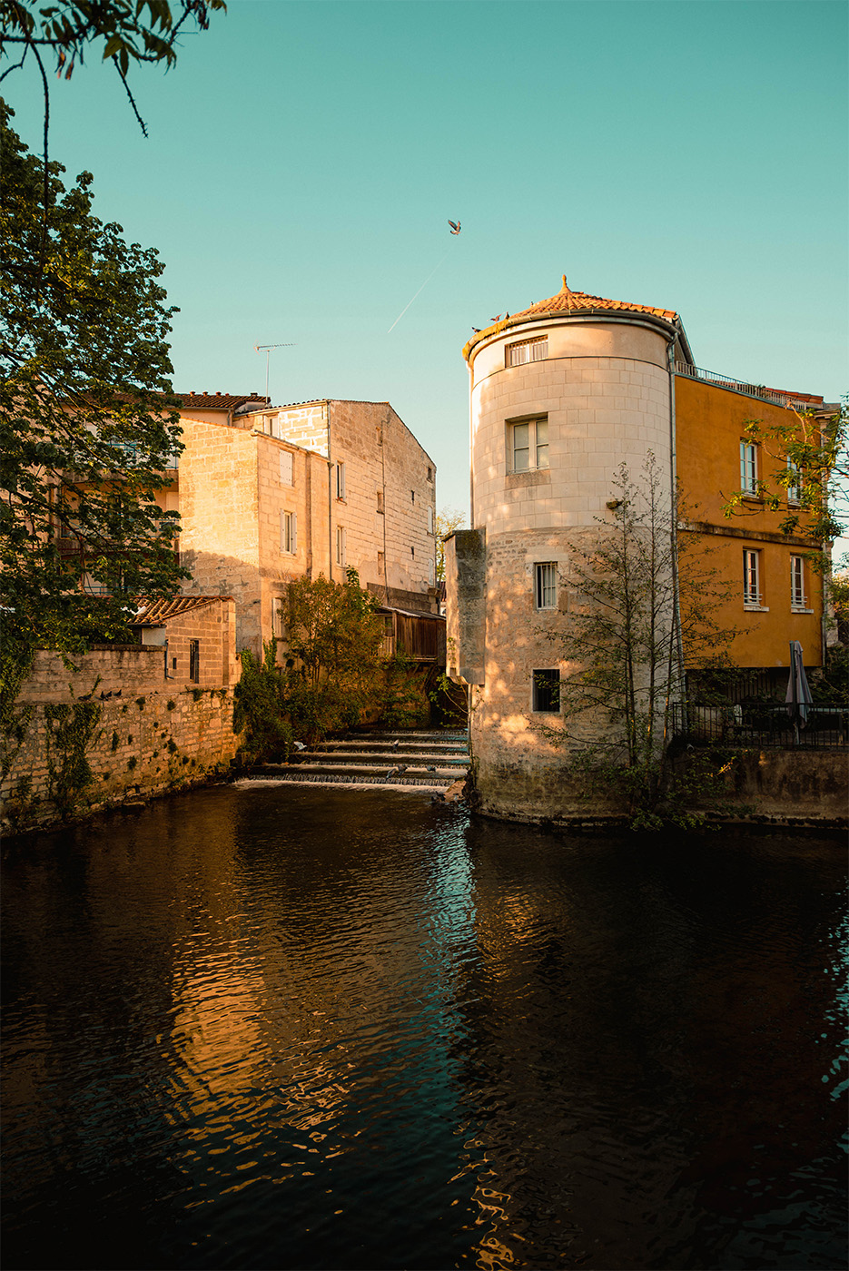 Aux abords de la Sèvre Niortaise