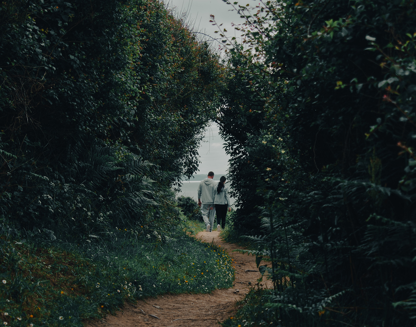 sentier Pléneuf-Val-André
