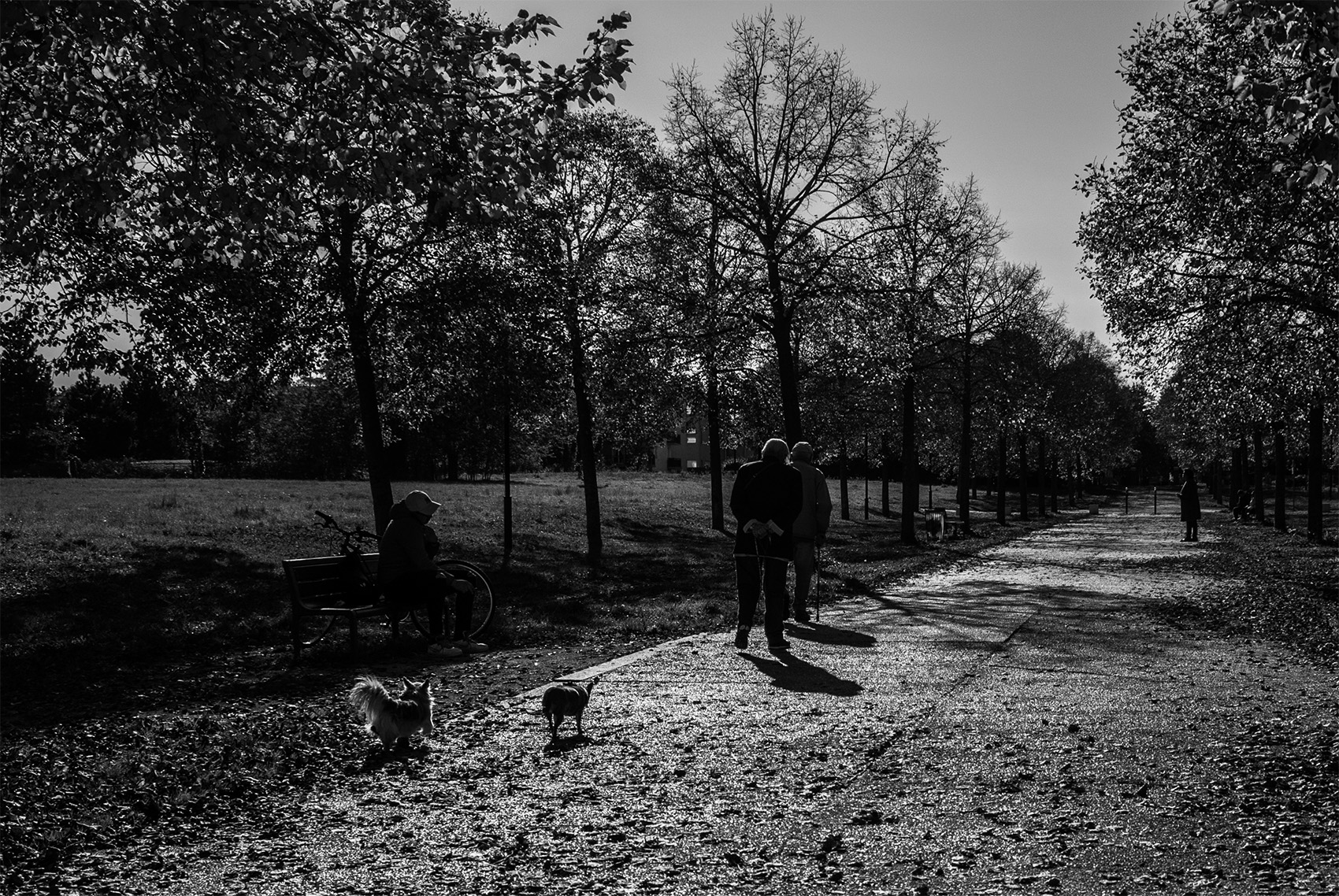 Parc Montigny-Le-Bretonneux