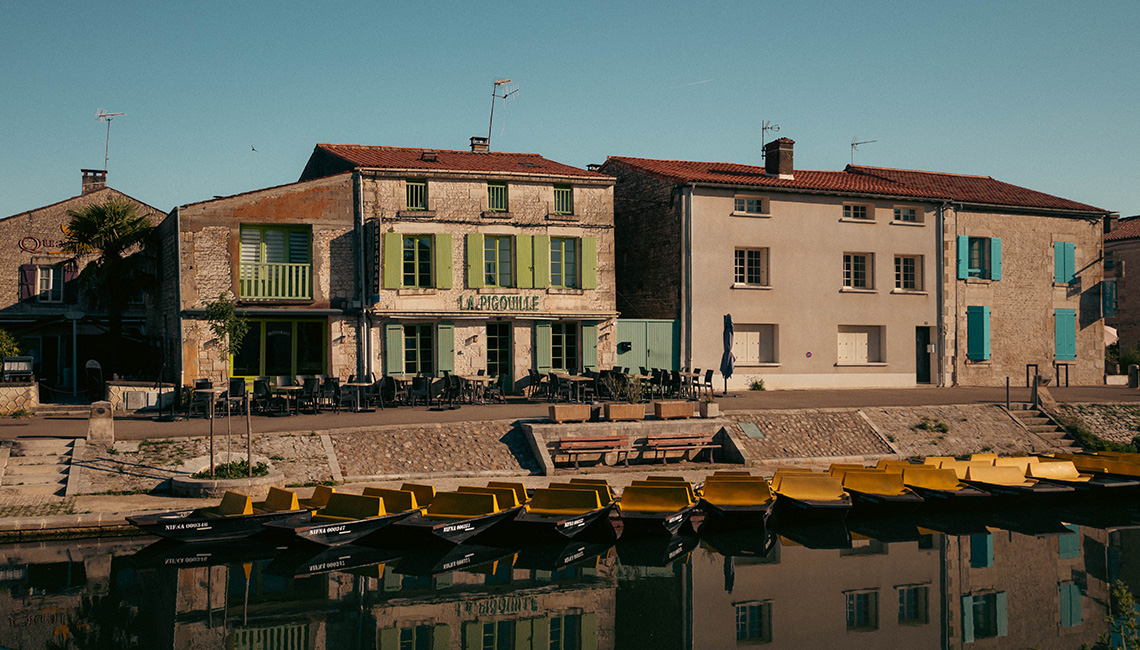 Coulon